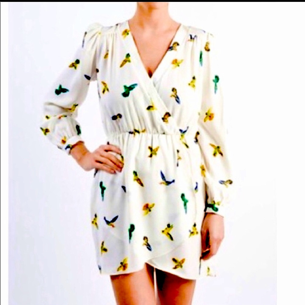 Honey Punch Wrap Dress